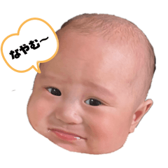 aoi_20250404142820