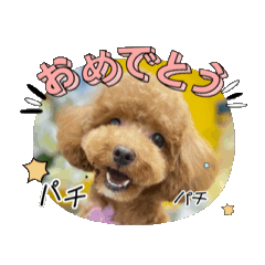 kana_20250404195335