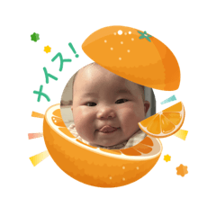 mako_20250404151714