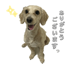 YUKI_20250404163104