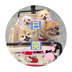 圓仔小狗表情包之5