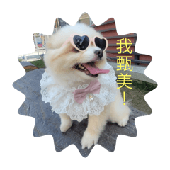 圓仔小狗表情包