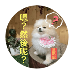 圓仔小狗日常yuanzi(3）