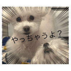 Baby_20250404152434