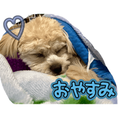 ASAHI_20250404173441