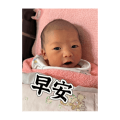 包子1-1