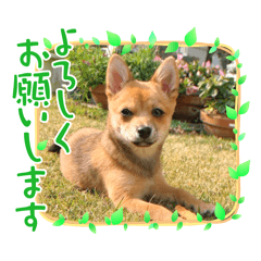 mayu_20250404193513
