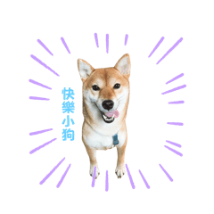島瓜賣島瓜