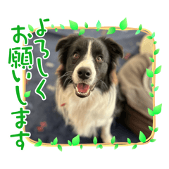 mirei_20250404202829