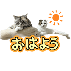 mi_20250404173827
