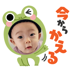 aki_20250404203848