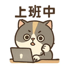 菲貓的上班