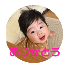 nori_20250404193644