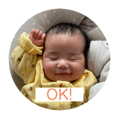 Oracchi_20250404231238