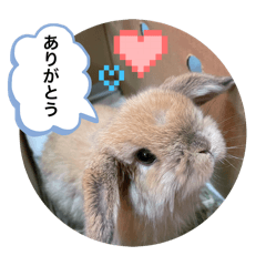 yuzu_20250405095842