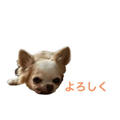 Satoshi_20250405101214