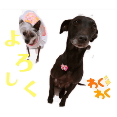RAN_20250405004610
