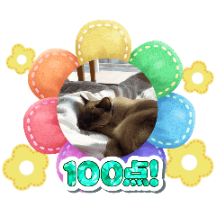 TON_20250405112053