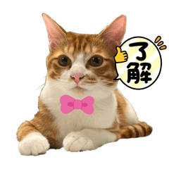 HITOMI_20250404234243