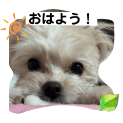 riri_20250404224756