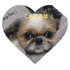 anko_2025.no1