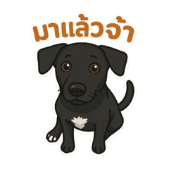 Wasabi_20250403211413