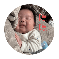 肉球生活1