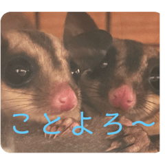 おちょもにのすたんぷ