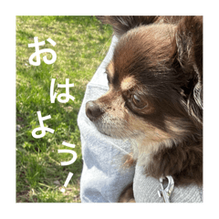 Sa_20250405131053