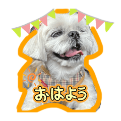 Aoi_20250405134254