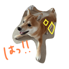 me_20250405135228