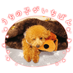 saaatan_20250405133839