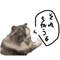 Yamada_20250405142127
