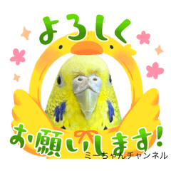michan_20250404094626