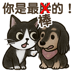 賓賓 & 喔咪的趣味日常！