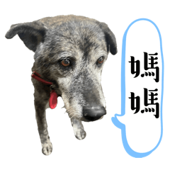 撿の愛