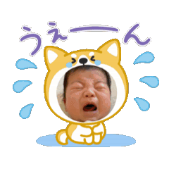 momo_20250405142212