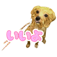 expressive dog_20250405144911