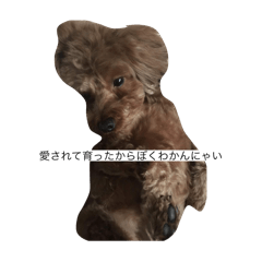 papa_20250405162330