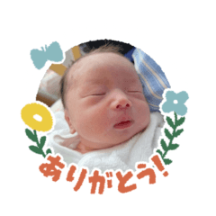 akito-ryoto