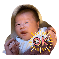 coco_20250405162353