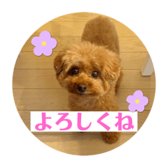 tamago_20250405155721