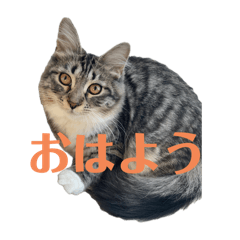 kana_20250405183555