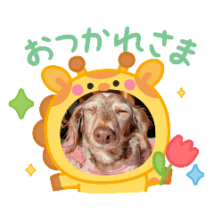 misaki_20250405175242