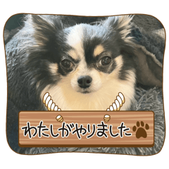 JACK_20250405180455