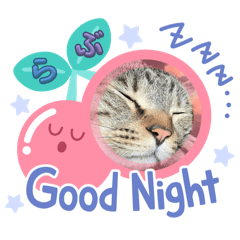 chooco_20250405211022