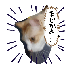 Emi_20250405211251