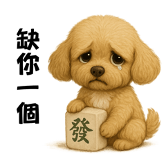 我是奶油貴賓-肉包 - 職業：阿公阿嬤的金孫