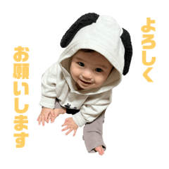 Aina_20250405173053