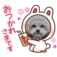 KAORI_20250405184911